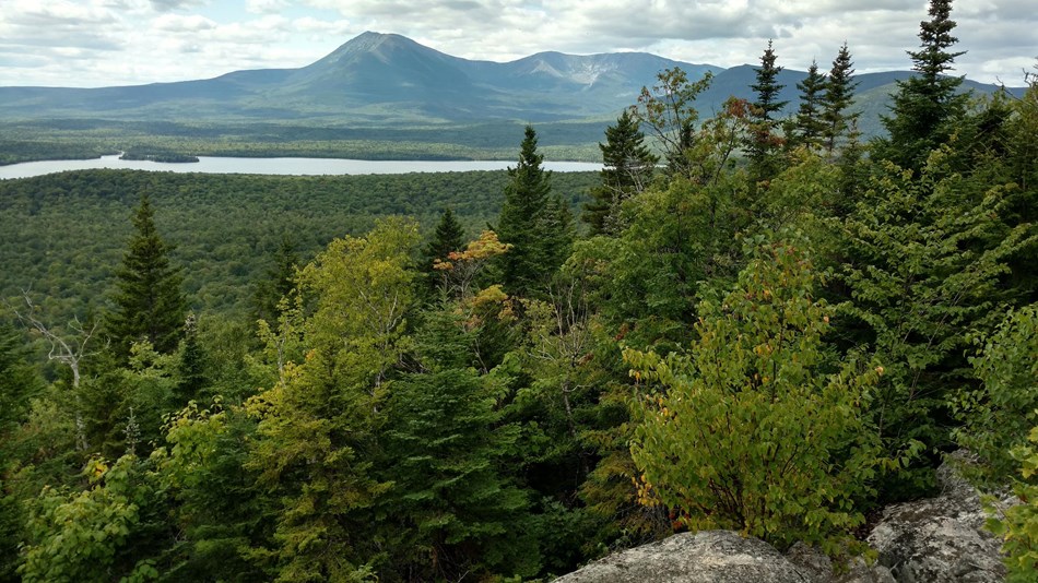 View of forested mountain with trees and granite in foreground