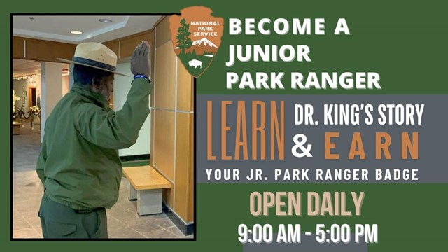 Junior Ranger Flyer, Park Ranger Holding right hand up to deliver the oath to a Jr Ranger
