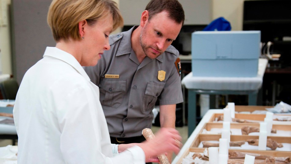 Superintendent Brandon Bies inspects a bone fragment with forensic anthropologist Kari Bruwelheide