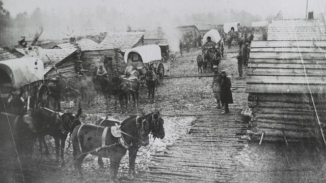 Black and white photo of Manassas winter camp (c.1861-1862) from Library of Congress
