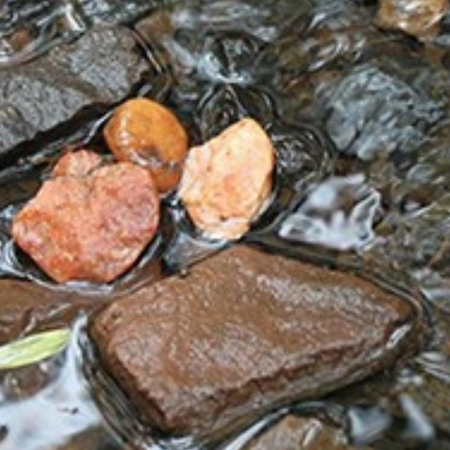 Rocks along Young's Branch