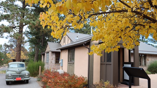 A color photo of yellow leaves in front of a building next to a car. 