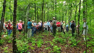 Several people gathered around a ranger in the woods.