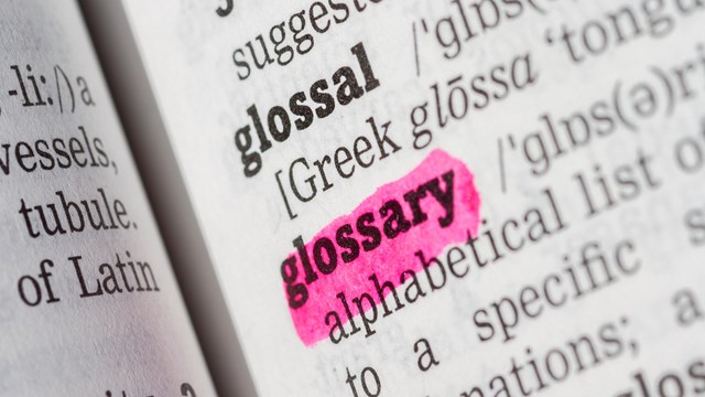 A photo of a book with words and the word "glossary" highlighted in pink.