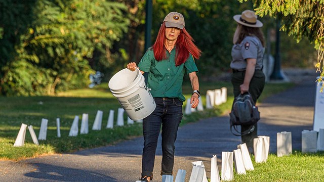 A woman is walking with a bucket alongside luminarias that line either side of a path.