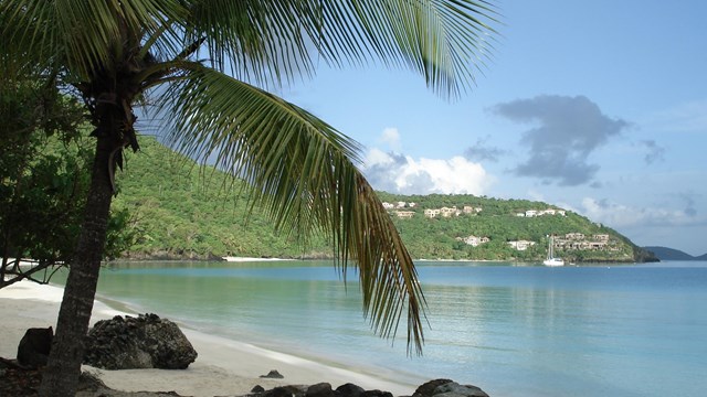 View of Cinnamon Bay