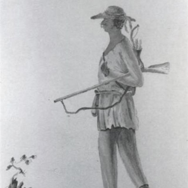 Drawing of a Mohican soldier with a musket, bow, and arrows, standing on a rock.
