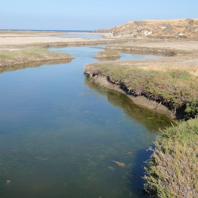Winding channel of Old Ranch Canyon Lagoon with a sandy beach beyond