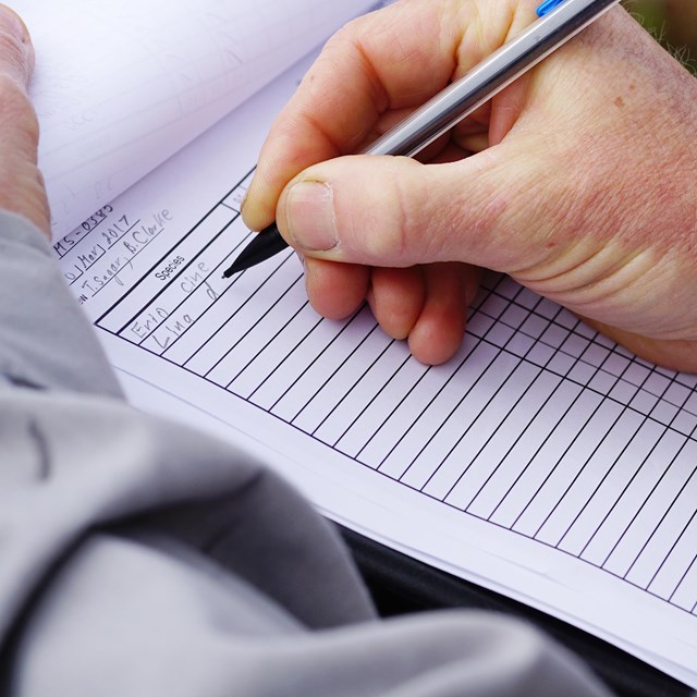 Uniformed staff person filling out a vegetation data sheet