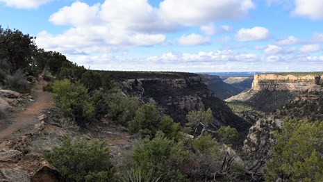 A trail winds along a forested mesa top, with a view down a winding canyon stretching into the dista