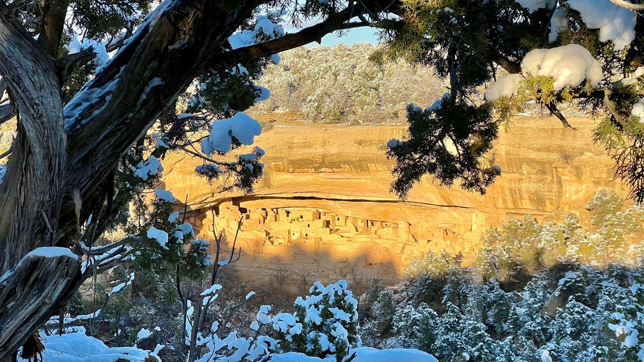 Cliff Palace, a large cliff dwelling, sits recessed in red cliffs, surrounded by a snowy landscape.