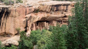 View of the Spruce Tree House cliff dwelling from overlook