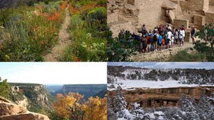 Collage of four seasonal images
