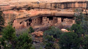 View of Spruce Tree House from across the canyon.