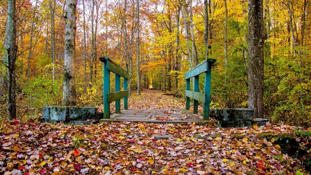 Trail over a wooden bridge and through the forest at Gettysburg National Millitary Park in the fall 