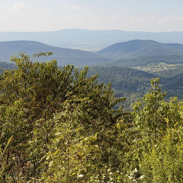 A view from an overlook on a mountain looking into a valley with foothills in the distance