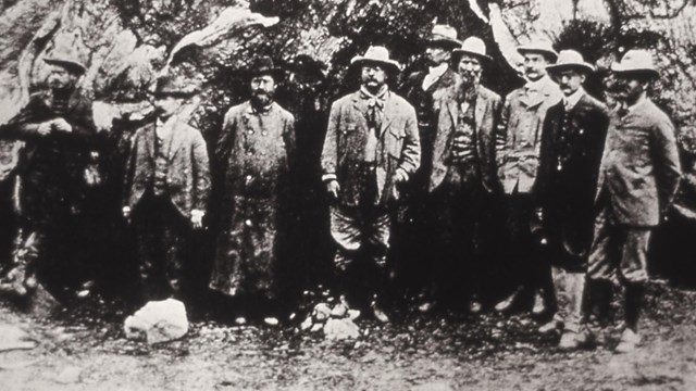 Group of men standing in front of a very large tree