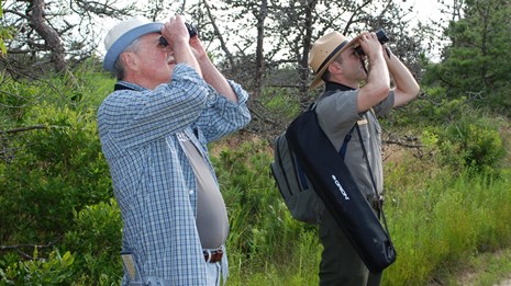 A man and a male park ranger look up in the air with binoculars. 