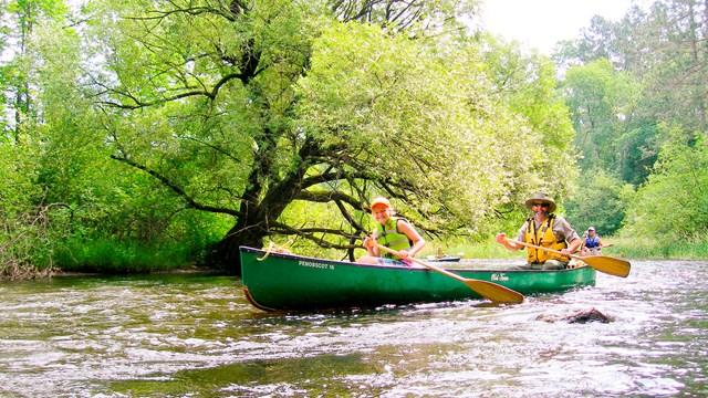 Two people paddle a river in a green canoe past a forested shoreline.