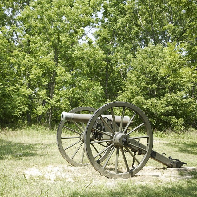 Green painted cannon sitting on a filed with deciduous forest behind. 