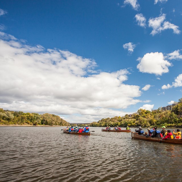 Large canoes and crews paddle down the river amidst autumnal color.