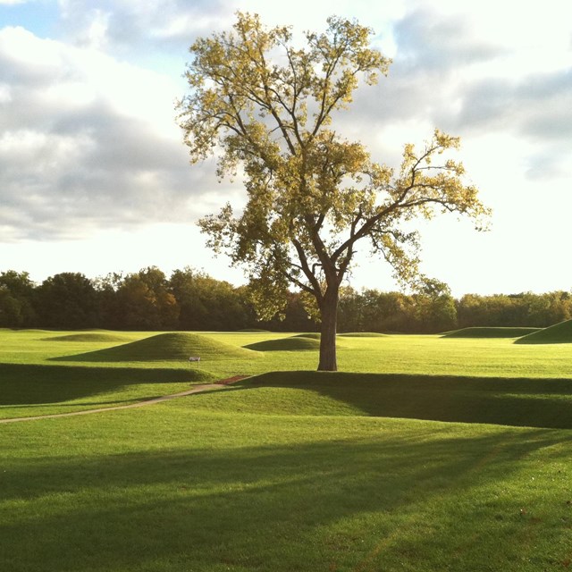 An early morning sun casting long shadows over grass-covered mounds.