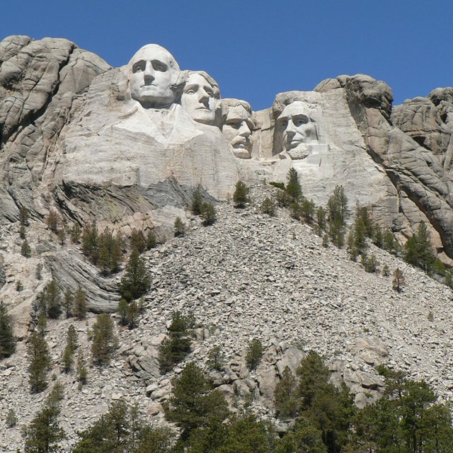 Heads of several US presidents carved into the side of a mountain with talus slope underneath. 