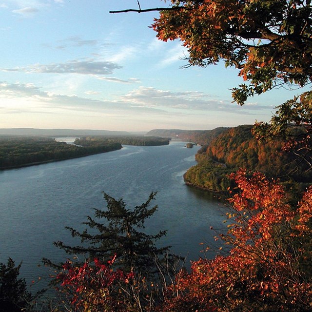 View of a river and a forest during fall. 