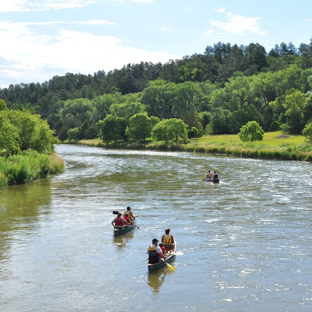 Three canoes on a flat stretch of river that is flanked by green forest. 