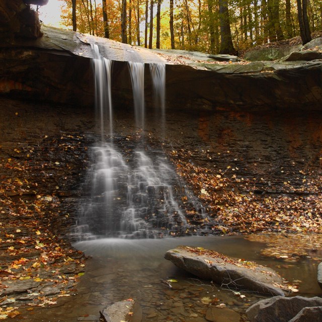 A creek runs over a waterfall in woods during fall. 