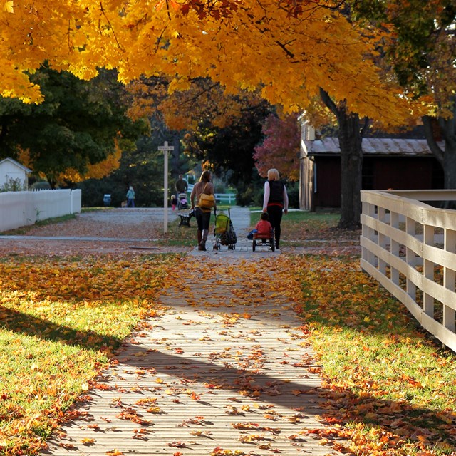 Mothers walk with young children on a path in a park with bright autumn foliage.