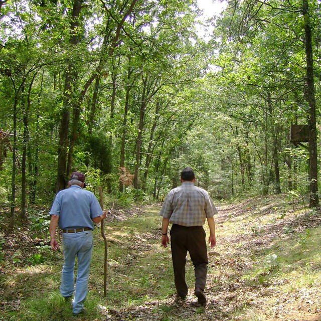 Two men walk on a trail through green deciduous trees. 