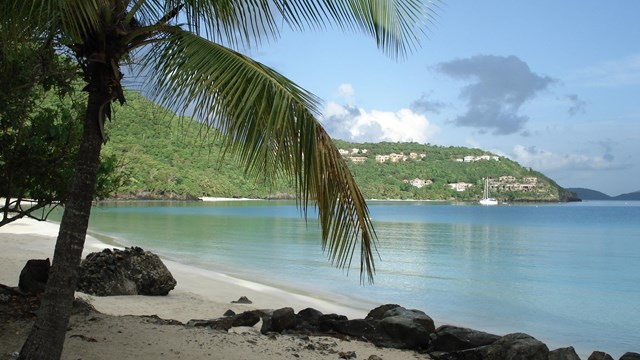 Palm tree leans over white sand beach and blue water with sail boats on the horizon.