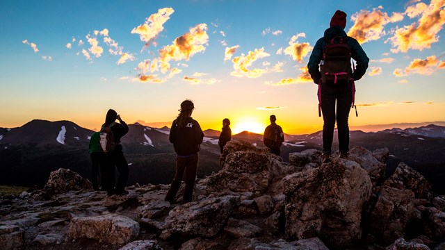 A group of five stand among a field of holders watching the sunset.