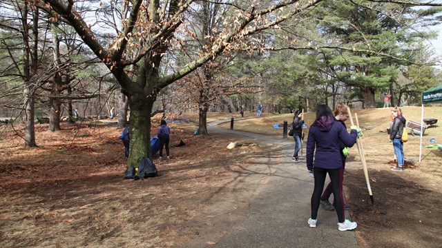 Park volunteers are spread across an open field surrounded by trees. They are raking leaves.