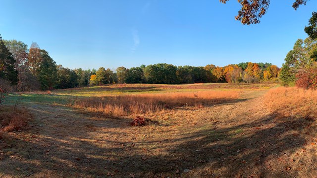 An open meadow with grass turning brown and golden with fall trees around.