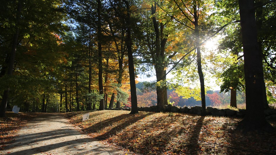 Image of a colonial road on a fall day. Trees line the road with sun rays coming through the leaves