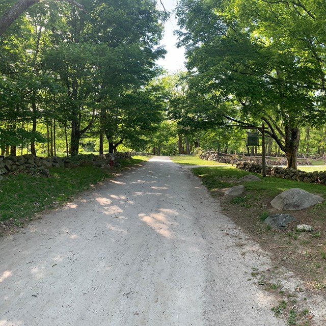 A dirt road flanked by low stone walls cutting through the forest. A wooden house is also visible.