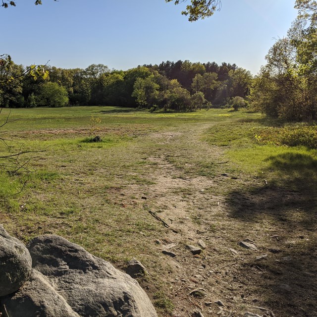 An open grassy meadow with a low stone wall running along the edge. 