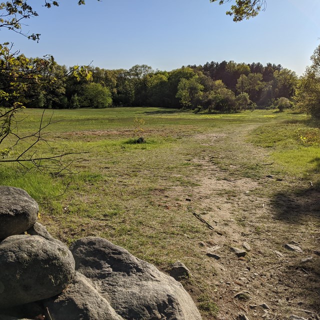 An open grassy meadow with a low stone wall running along the edge. 