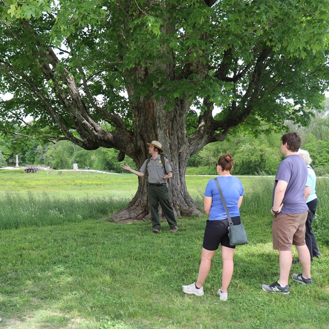 A National Park Ranger surrounded by visitors speaks with a wooden bridge in the distant background