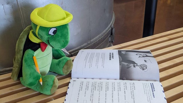 Stuffed turtle character sitting on a bench with a junior ranger booklet and patch beside him.