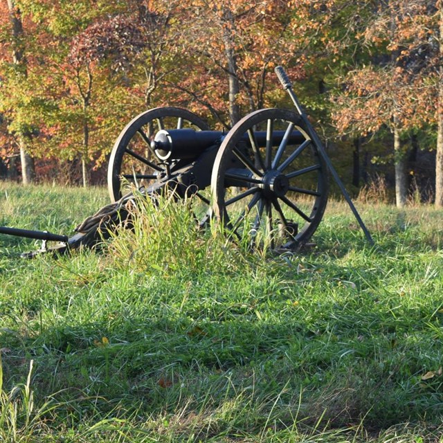 Cannon in grassy field on autumn day