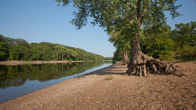 A river runs through forested banks.
