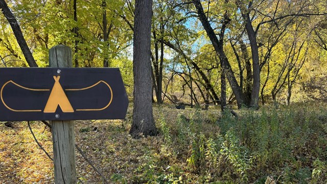 A river campsite sign with a forest in the background