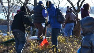 Volunteers spread mulch with rakes at the Martin Luther King, Jr. Memorial