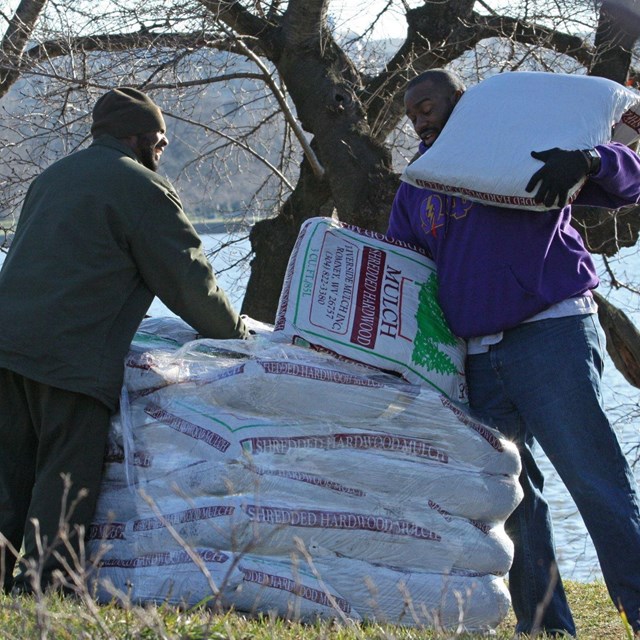Visitor placing mulch bags on a pile while talking with a ranger