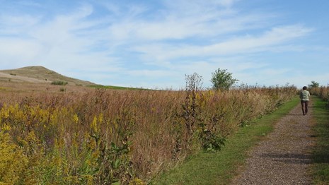 Plan your visit page will help you see other attractions nearby.