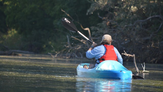 A kayaker paddles away on smooth water. 