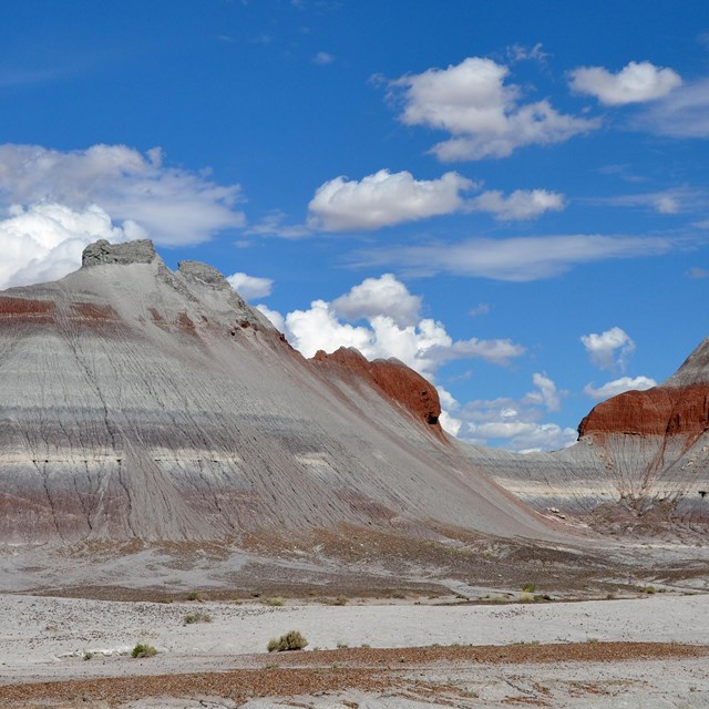 Petrified Forest National Park